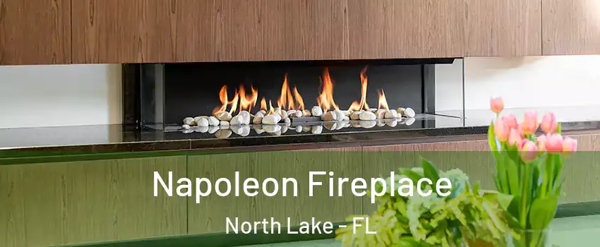 Napoleon Fireplace North Lake - FL