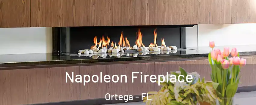 Napoleon Fireplace Ortega - FL