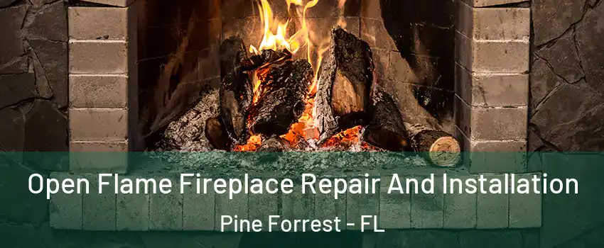 Open Flame Fireplace Repair And Installation Pine Forrest - FL