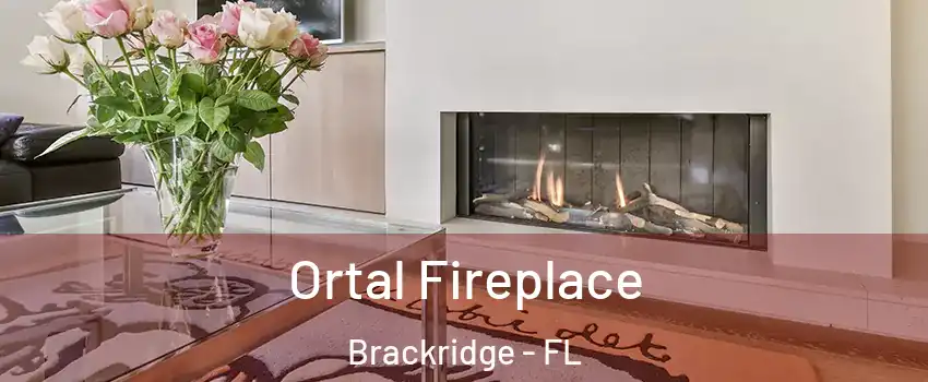 Ortal Fireplace Brackridge - FL