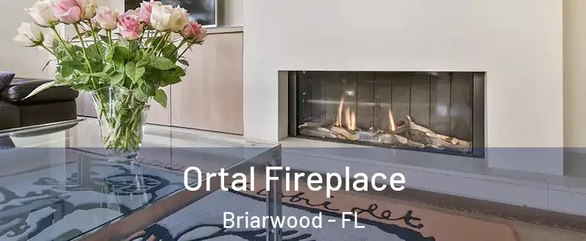 Ortal Fireplace Briarwood - FL
