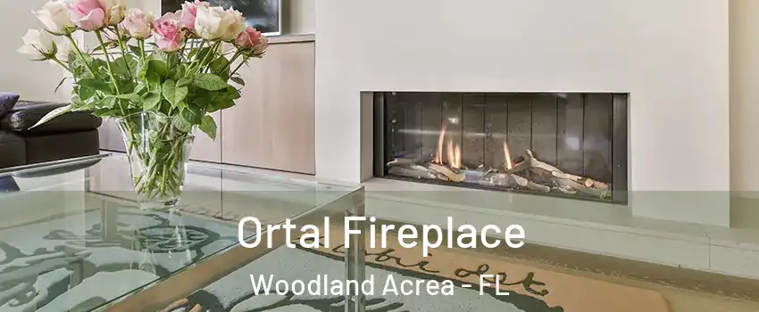 Ortal Fireplace Woodland Acrea - FL