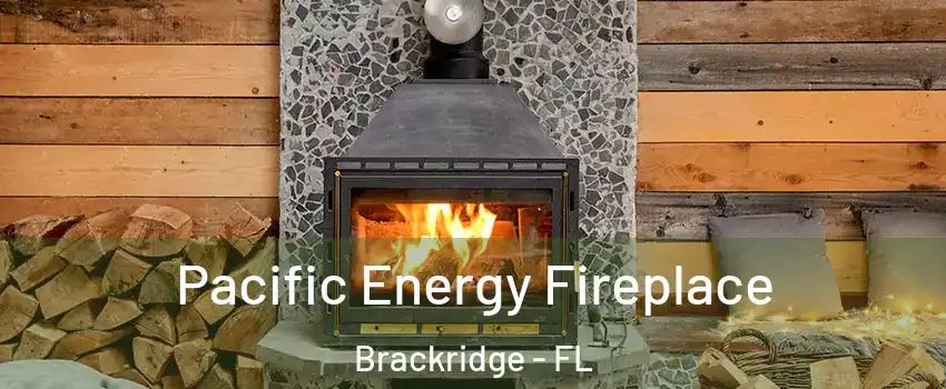 Pacific Energy Fireplace Brackridge - FL