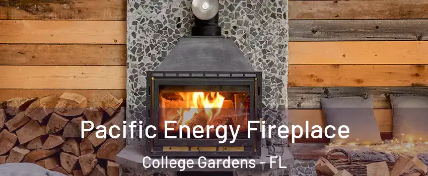 Pacific Energy Fireplace College Gardens - FL
