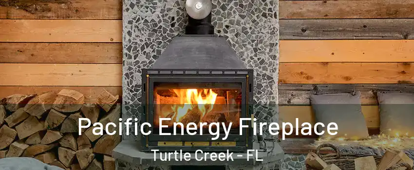 Pacific Energy Fireplace Turtle Creek - FL