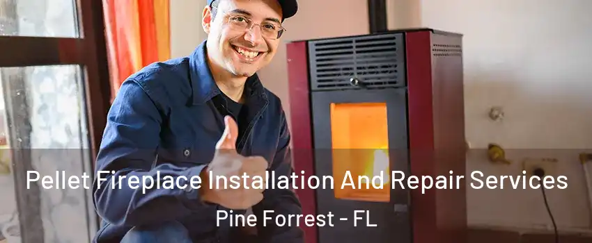 Pellet Fireplace Installation And Repair Services Pine Forrest - FL