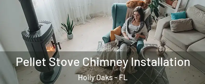 Pellet Stove Chimney Installation Holly Oaks - FL