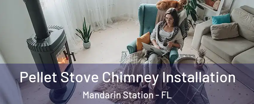 Pellet Stove Chimney Installation Mandarin Station - FL