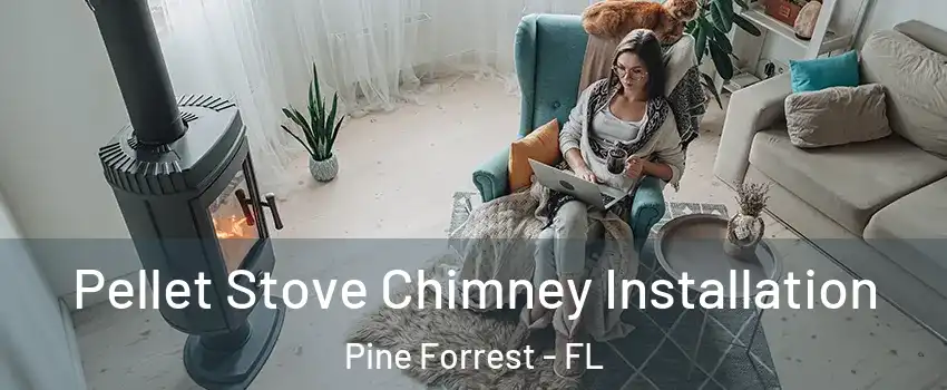 Pellet Stove Chimney Installation Pine Forrest - FL