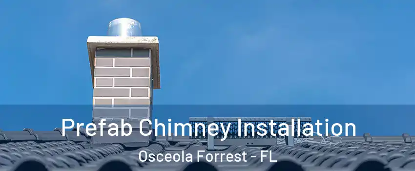 Prefab Chimney Installation Osceola Forrest - FL
