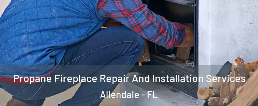 Propane Fireplace Repair And Installation Services Allendale - FL