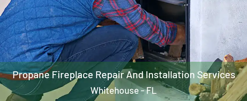 Propane Fireplace Repair And Installation Services Whitehouse - FL