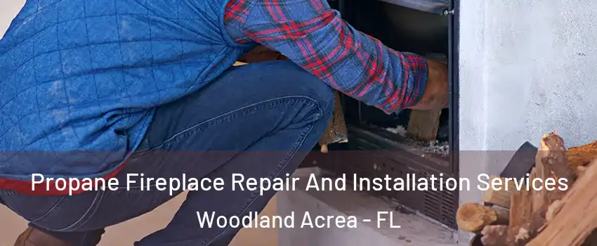 Propane Fireplace Repair And Installation Services Woodland Acrea - FL