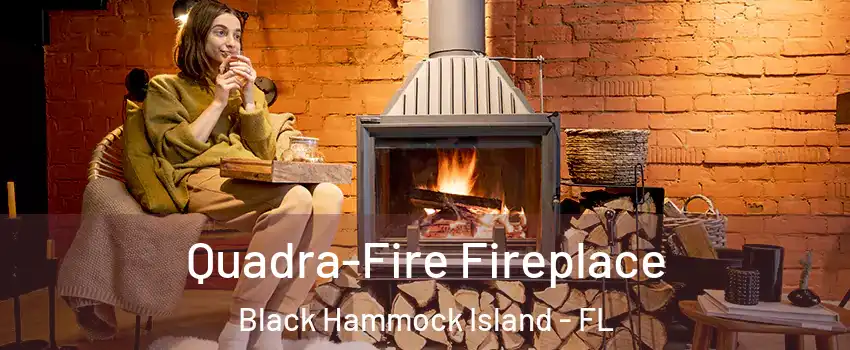 Quadra-Fire Fireplace Black Hammock Island - FL