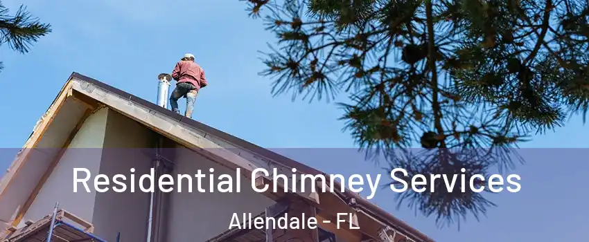 Residential Chimney Services Allendale - FL