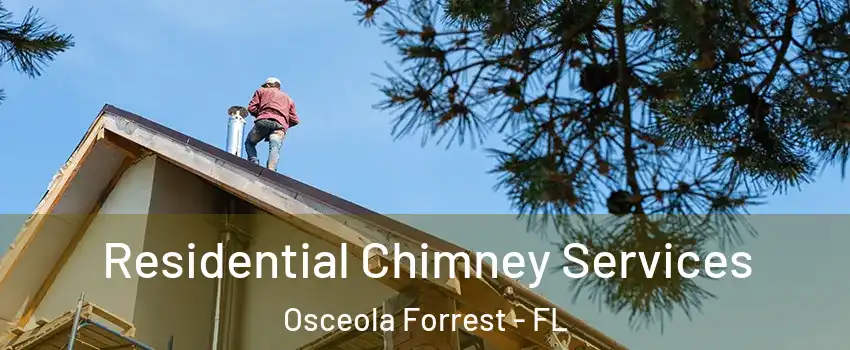 Residential Chimney Services Osceola Forrest - FL