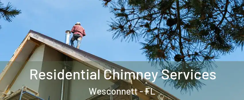 Residential Chimney Services Wesconnett - FL