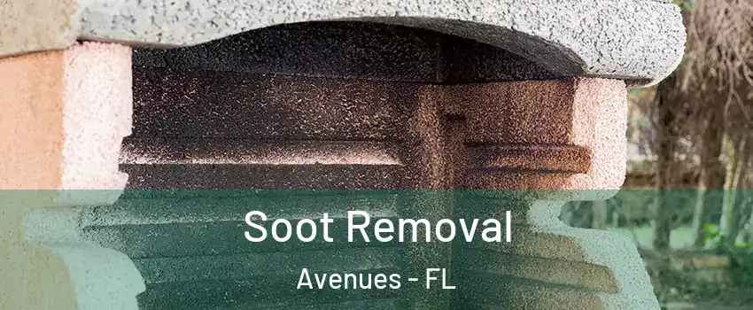 Soot Removal Avenues - FL