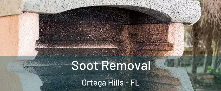 Soot Removal Ortega Hills - FL