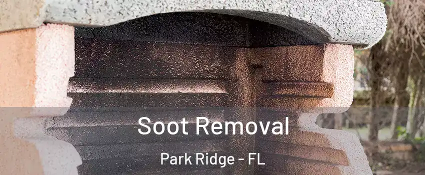 Soot Removal Park Ridge - FL