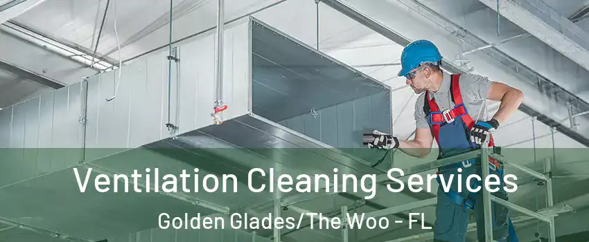Ventilation Cleaning Services Golden Glades/The Woo - FL