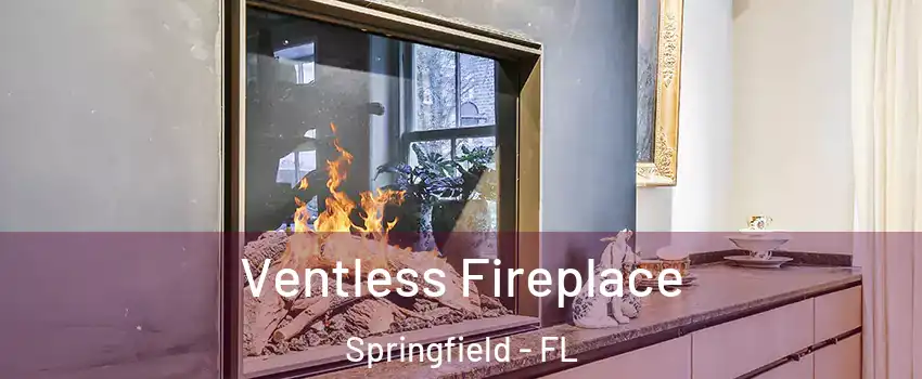 Ventless Fireplace Springfield - FL