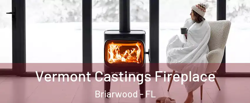 Vermont Castings Fireplace Briarwood - FL