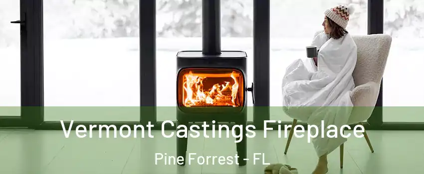 Vermont Castings Fireplace Pine Forrest - FL