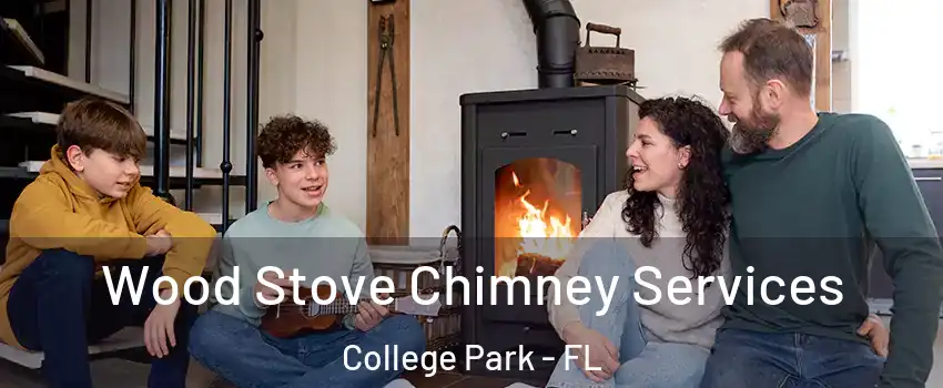 Wood Stove Chimney Services College Park - FL