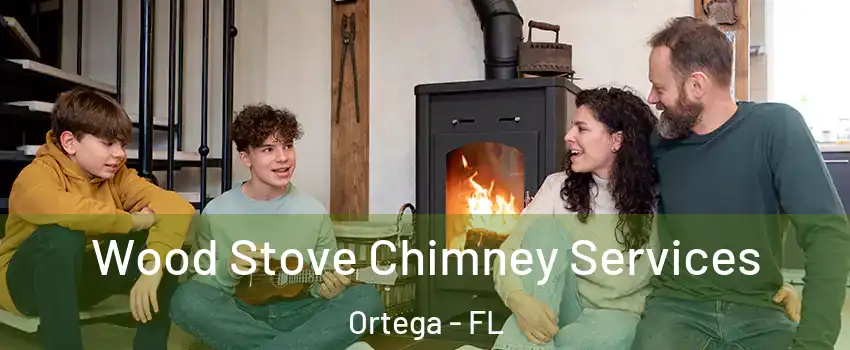 Wood Stove Chimney Services Ortega - FL