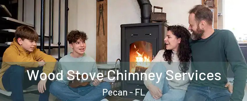 Wood Stove Chimney Services Pecan - FL