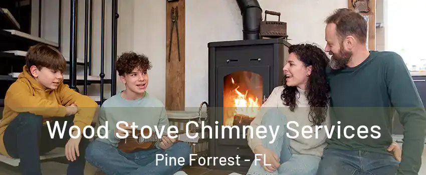 Wood Stove Chimney Services Pine Forrest - FL