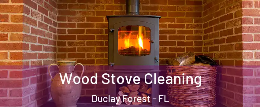 Wood Stove Cleaning Duclay Forest - FL