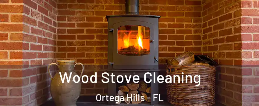 Wood Stove Cleaning Ortega Hills - FL