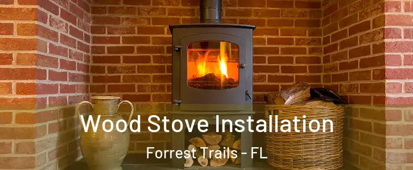 Wood Stove Installation Forrest Trails - FL