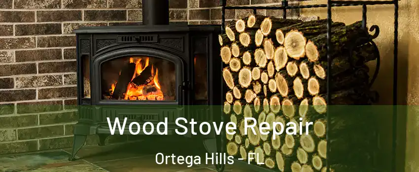 Wood Stove Repair Ortega Hills - FL